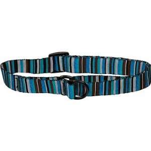  Bison Pet Turquoise Adjustable Nylon Dog Slip Collar: Pet 