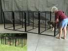 Dog Kennels, Fencing, Cage, Crate, In Outdoor 4 runs