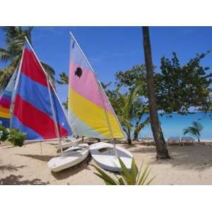 com Sail Boats, Galley Bay, Antigua, Caribbean, West Indies, Central 