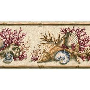  Beige and Brown Beach Coral Wallpaper Border: Home 