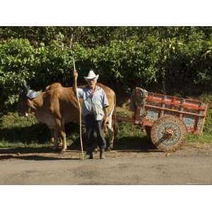  Man with Decortated Ox Cart, Central Highlands, Costa Rica 