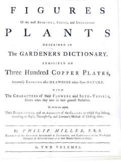 1758 Antique Botanical Print by P Miller   Gladiolus  