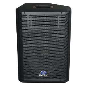   Plus 15 600W 2 Way Stage / Floor Monitor Speaker: Musical Instruments