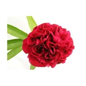  Red Peony Flower   50 Stems Arts, Crafts & Sewing
