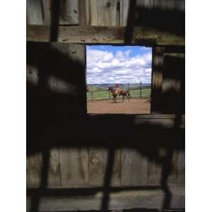com Looking Through Old Barn Window at Cowboy Roping Cattle, Antelope 