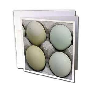  Cassie Peters Photography   Green and Olive Eggs 
