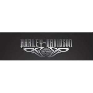    PINSTRIPE 66X20 HARLEY DAVIDSON REAR WINDOW DECAL Automotive