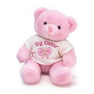    Pink Big Sister Teddy Bear Stuffed Animal Plush 