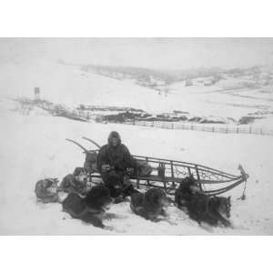   near sled, with driver, in snow covered fields.